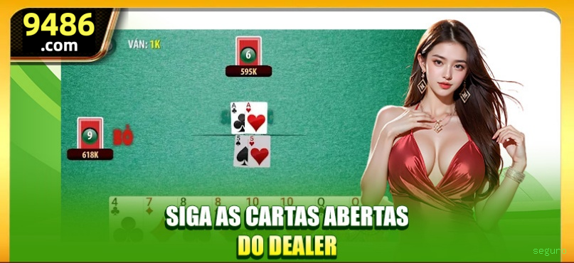Suporte VIP seguro - atendimento prioritário